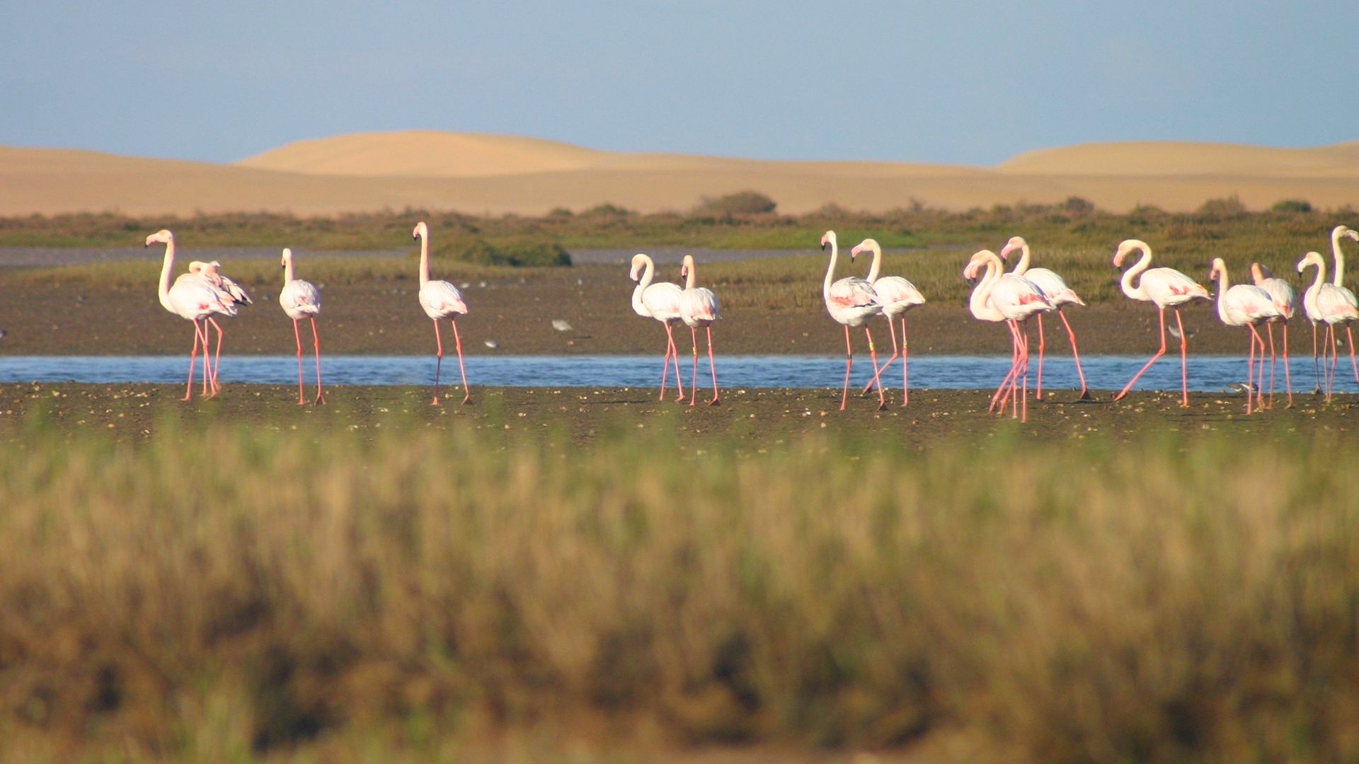 Société | Retrouvez toute l'actualité du Maroc et du monde, en temps réel, sur le premier site d'information francophone au Maroc : www.le360.ma