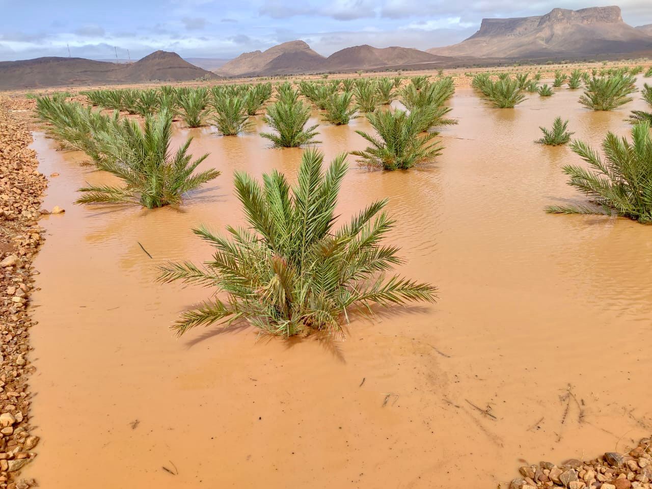 Economie | Retrouvez toute l'actualité du Maroc et du monde, en temps réel, sur le premier site d'information francophone au Maroc : www.le360.ma