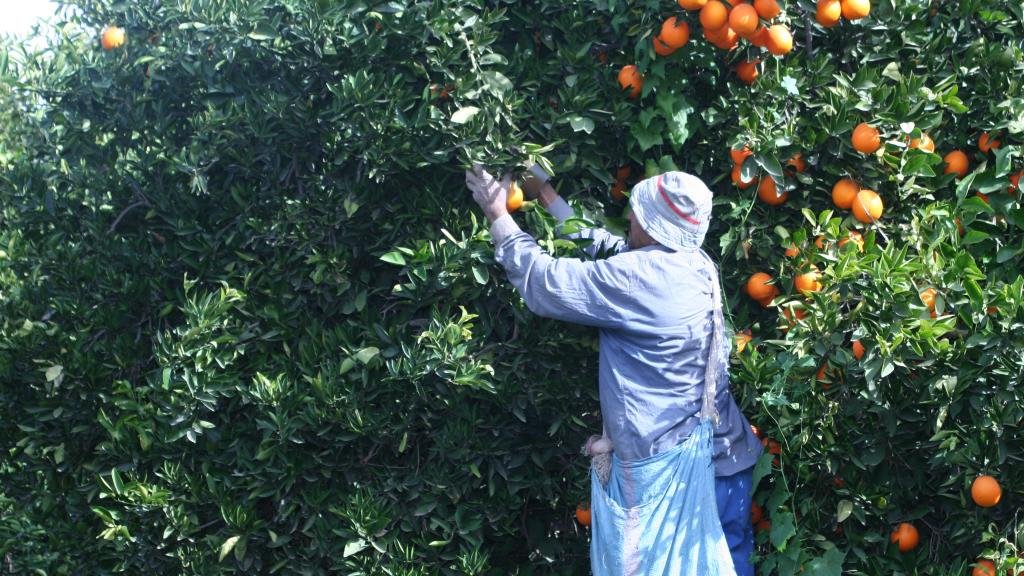 Economie | Retrouvez toute l'actualité du Maroc et du monde, en temps réel, sur le premier site d'information francophone au Maroc : www.le360.ma