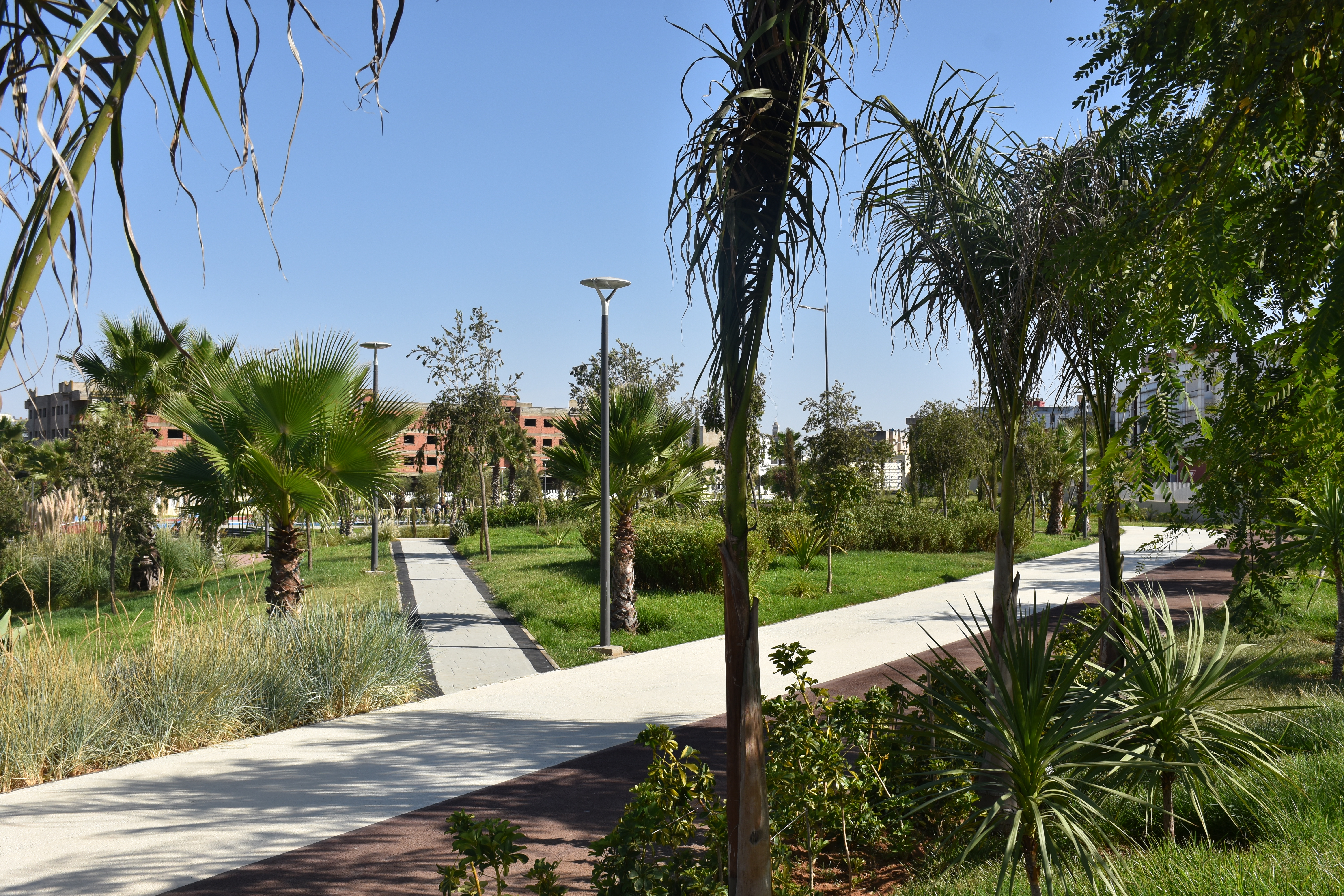 Société | Retrouvez toute l'actualité du Maroc et du monde, en temps réel, sur le premier site d'information francophone au Maroc : www.le360.ma