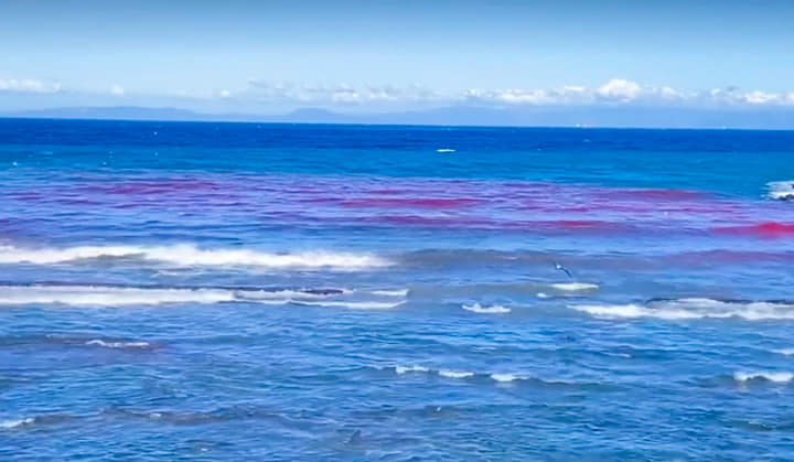 تغير لون مياه شاطئ مرقالة بطنجة