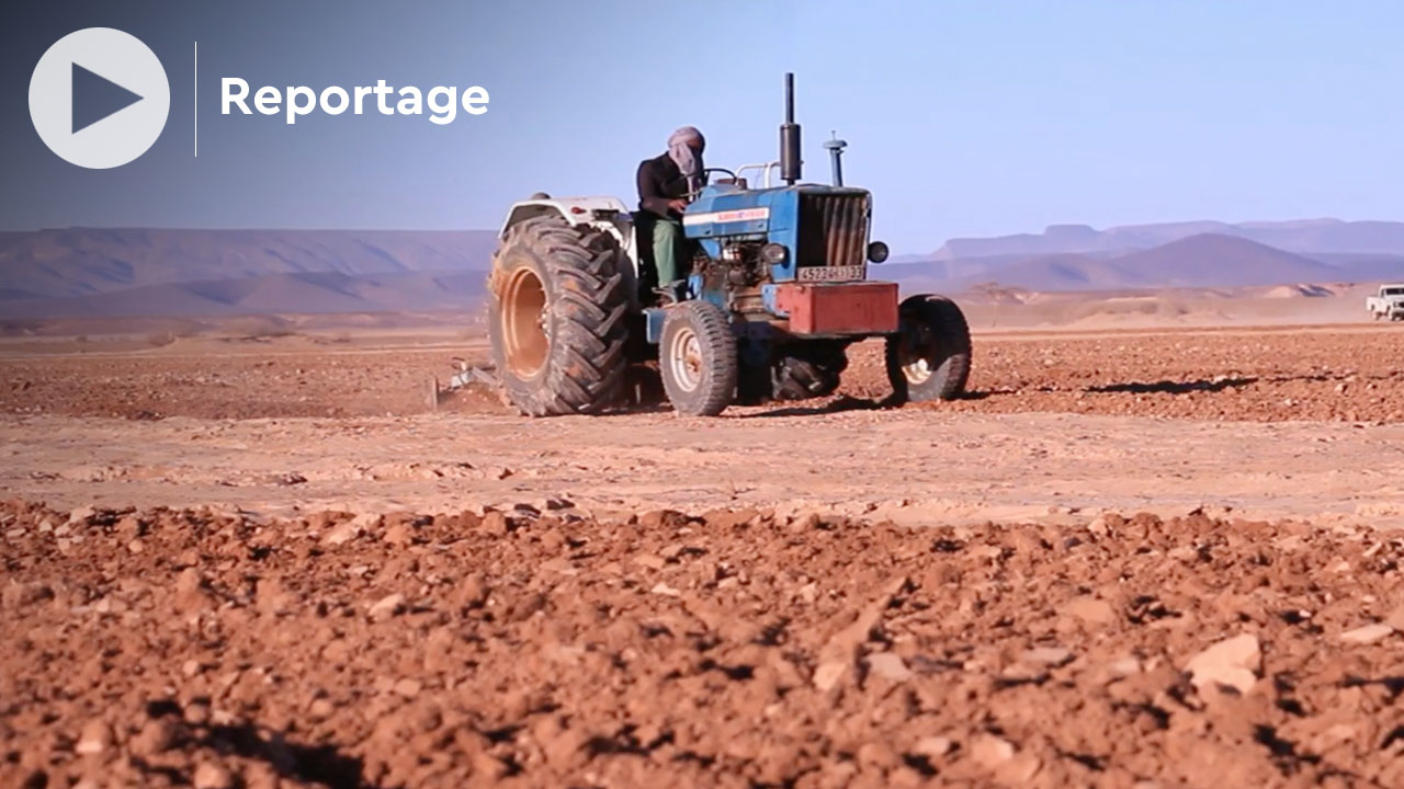 Société | Retrouvez toute l'actualité du Maroc et du monde, en temps réel, sur le premier site d'information francophone au Maroc : www.le360.ma