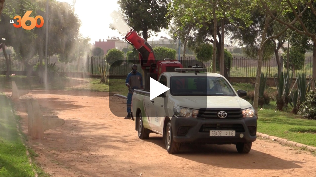 Société | Retrouvez toute l'actualité du Maroc et du monde, en temps réel, sur le premier site d'information francophone au Maroc : www.le360.ma