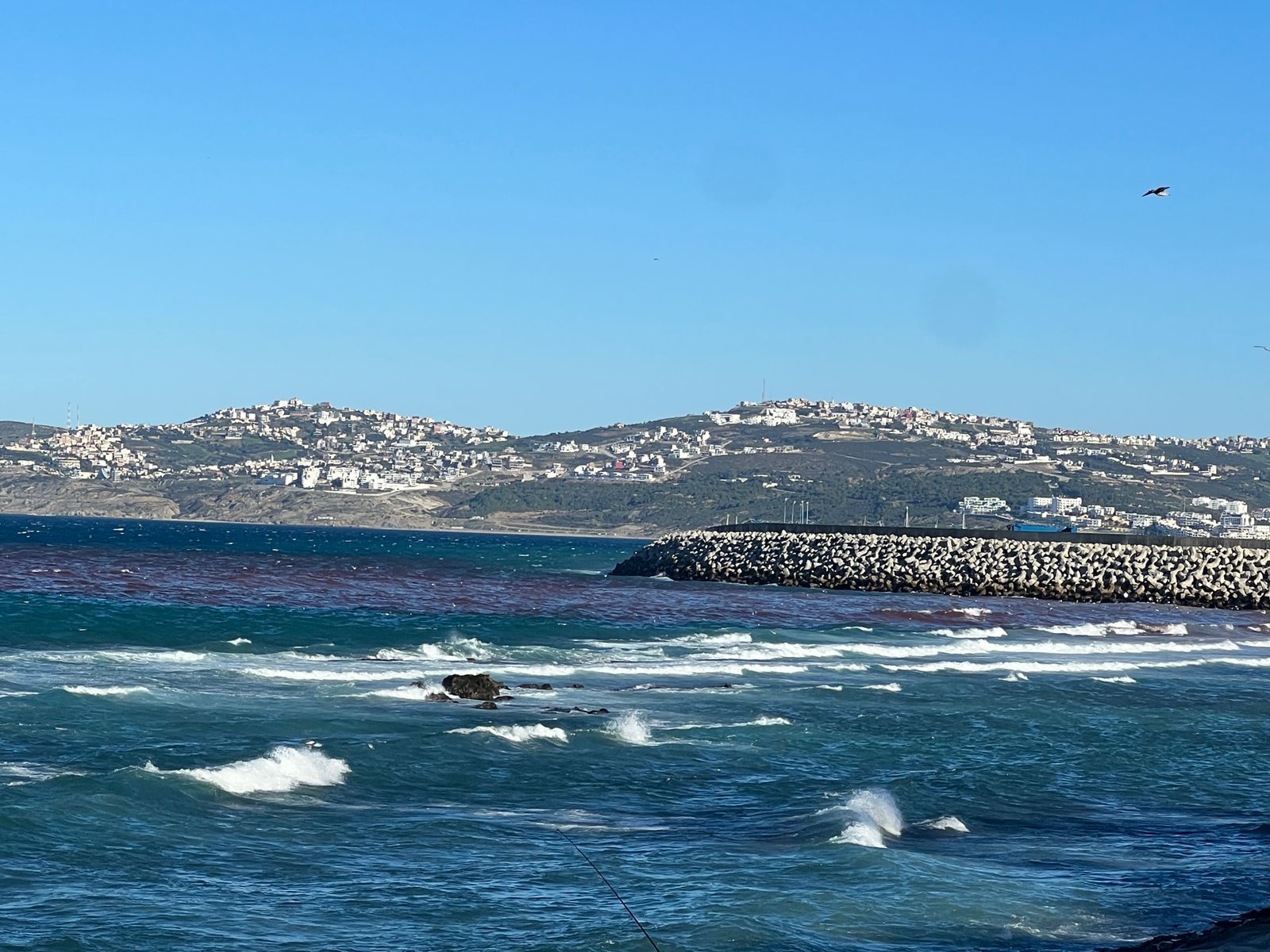 تغير لون مياه شاطئ مرقالة بطنجة