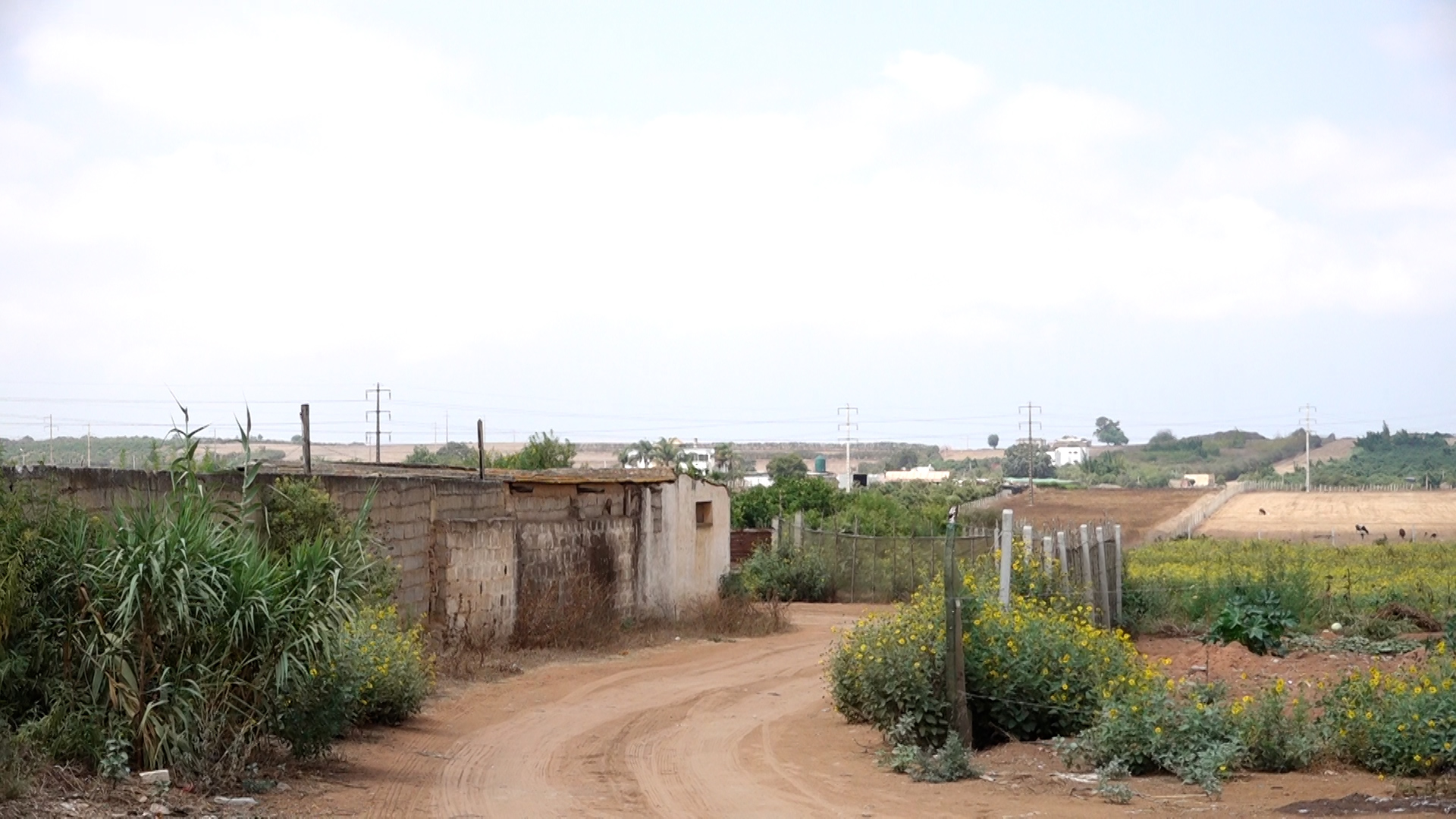 Société | Retrouvez toute l'actualité du Maroc et du monde, en temps réel, sur le premier site d'information francophone au Maroc : www.le360.ma