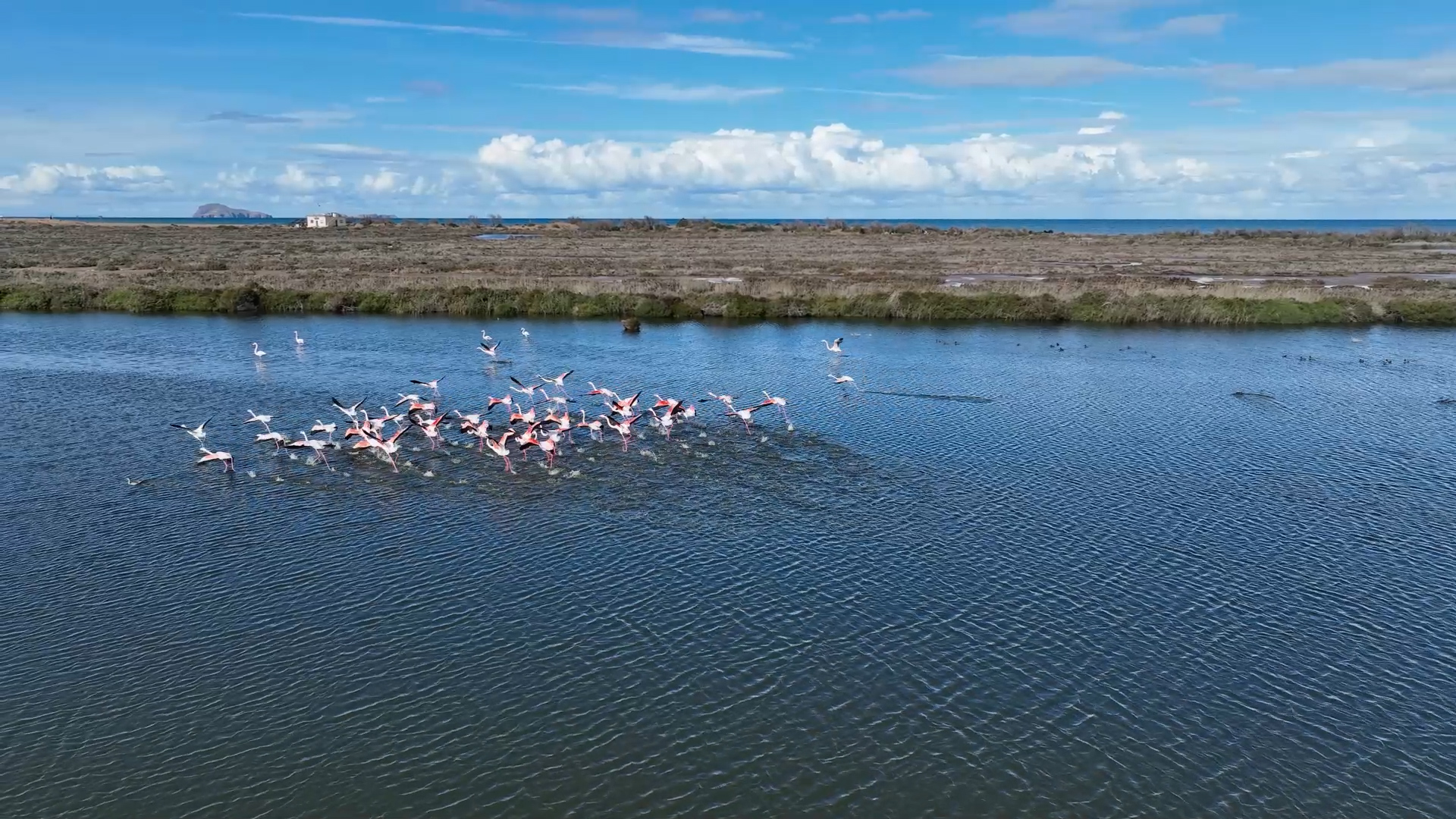 Société | Retrouvez toute l'actualité du Maroc et du monde, en temps réel, sur le premier site d'information francophone au Maroc : www.le360.ma