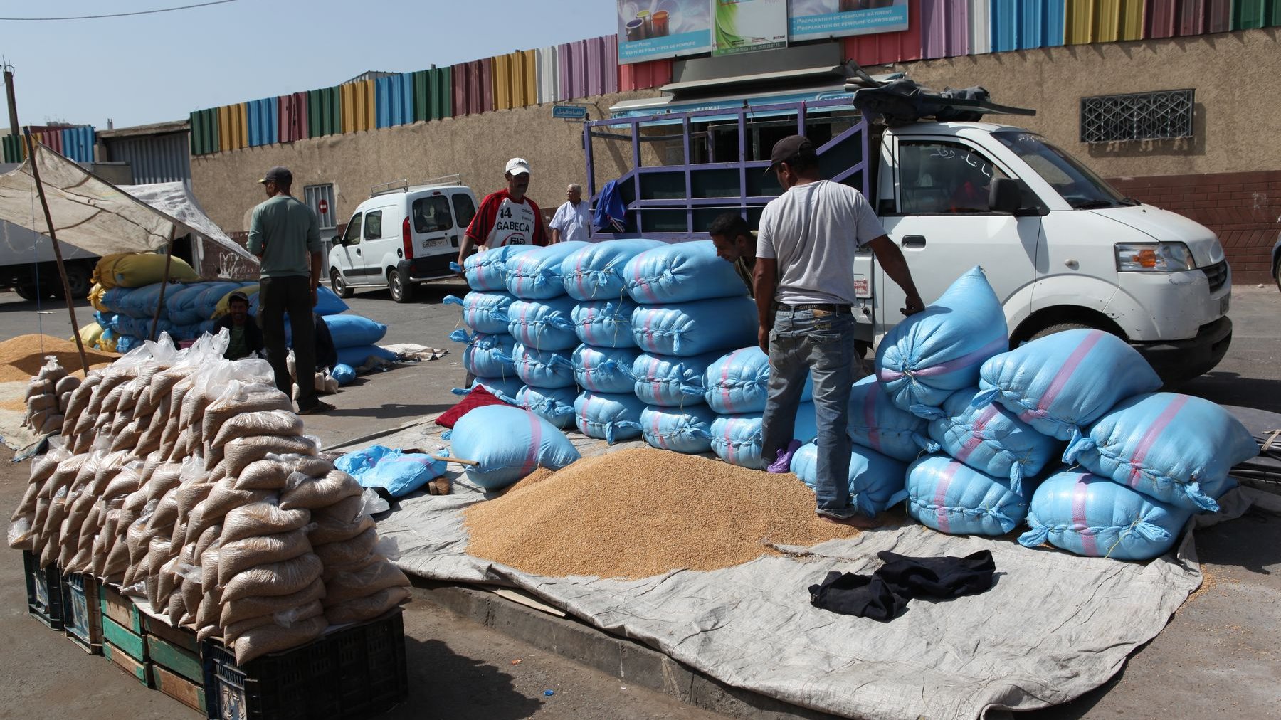 السوق المغربية توفر حاجيات المغاربة من القمح 

