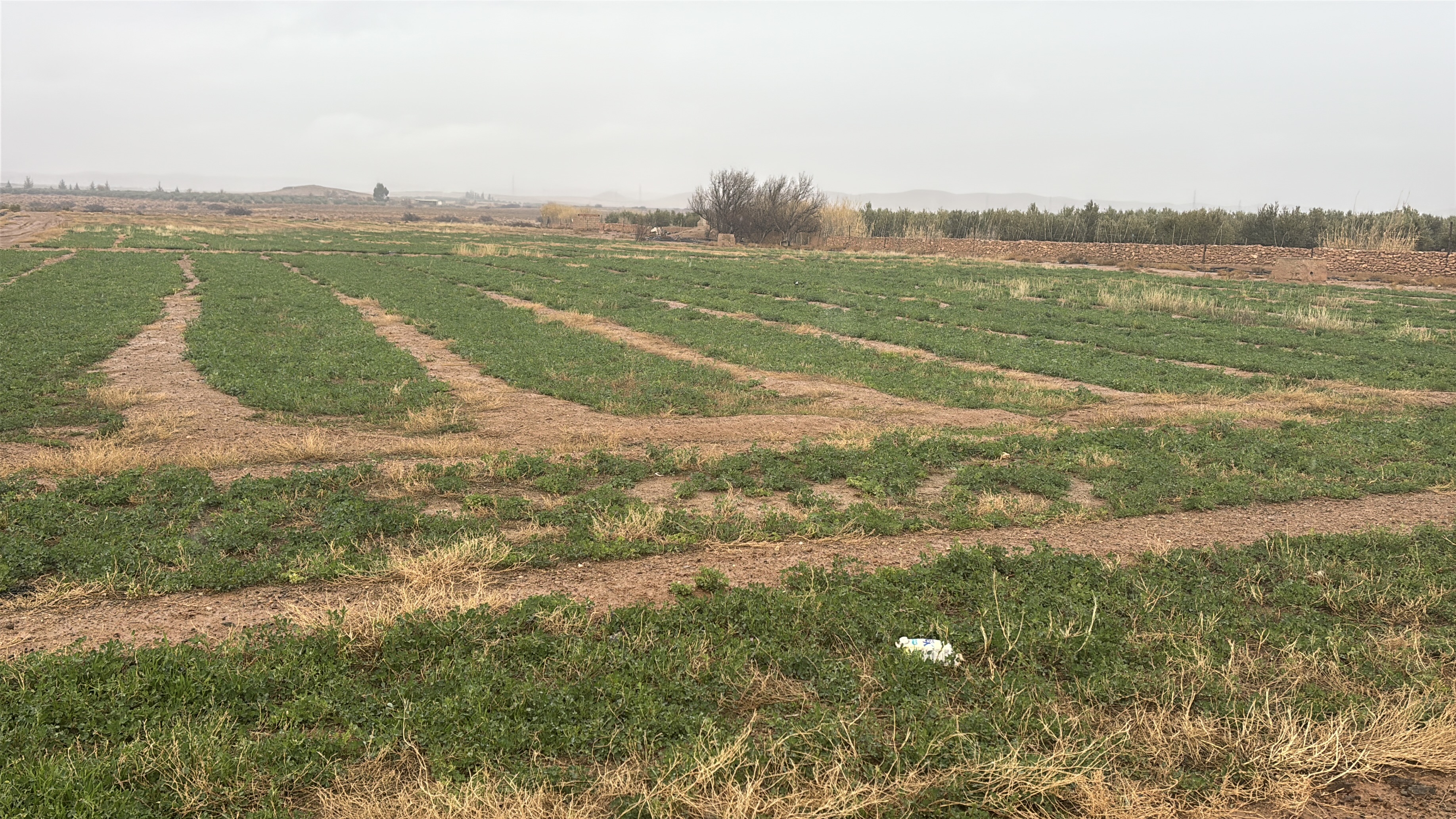 Société | Retrouvez toute l'actualité du Maroc et du monde, en temps réel, sur le premier site d'information francophone au Maroc : www.le360.ma