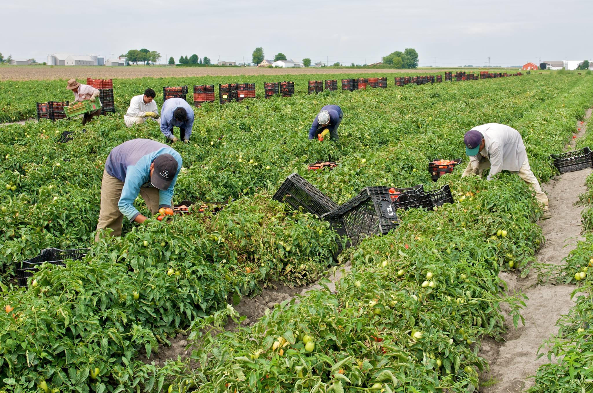 Economie | Retrouvez toute l'actualité du Maroc et du monde, en temps réel, sur le premier site d'information francophone au Maroc : www.le360.ma