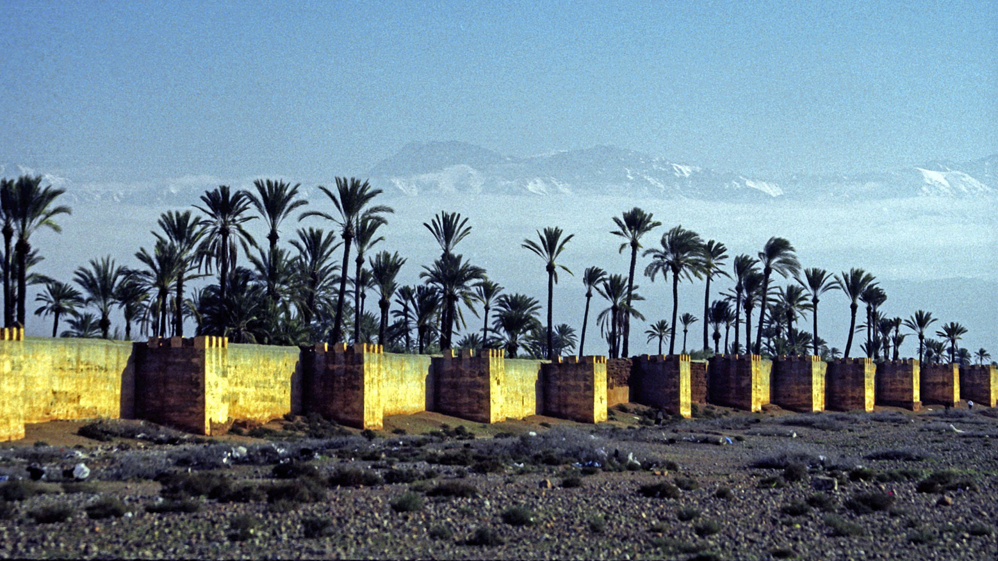 Société | Retrouvez toute l'actualité du Maroc et du monde, en temps réel, sur le premier site d'information francophone au Maroc : www.le360.ma