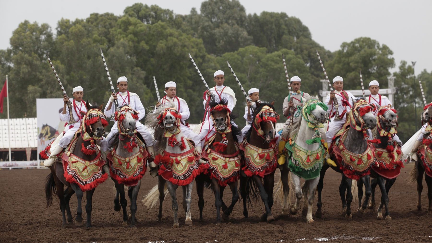 Les chevaux, toujours richement harnachés, sont montés par des cavaliers hors pair qui se prêtent au rituel du salut avant de se lancer sur la piste ensablée. 
