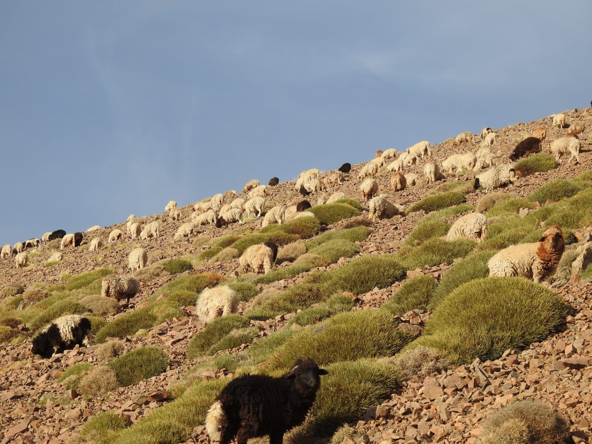 Economie | Retrouvez toute l'actualité du Maroc et du monde, en temps réel, sur le premier site d'information francophone au Maroc : www.le360.ma