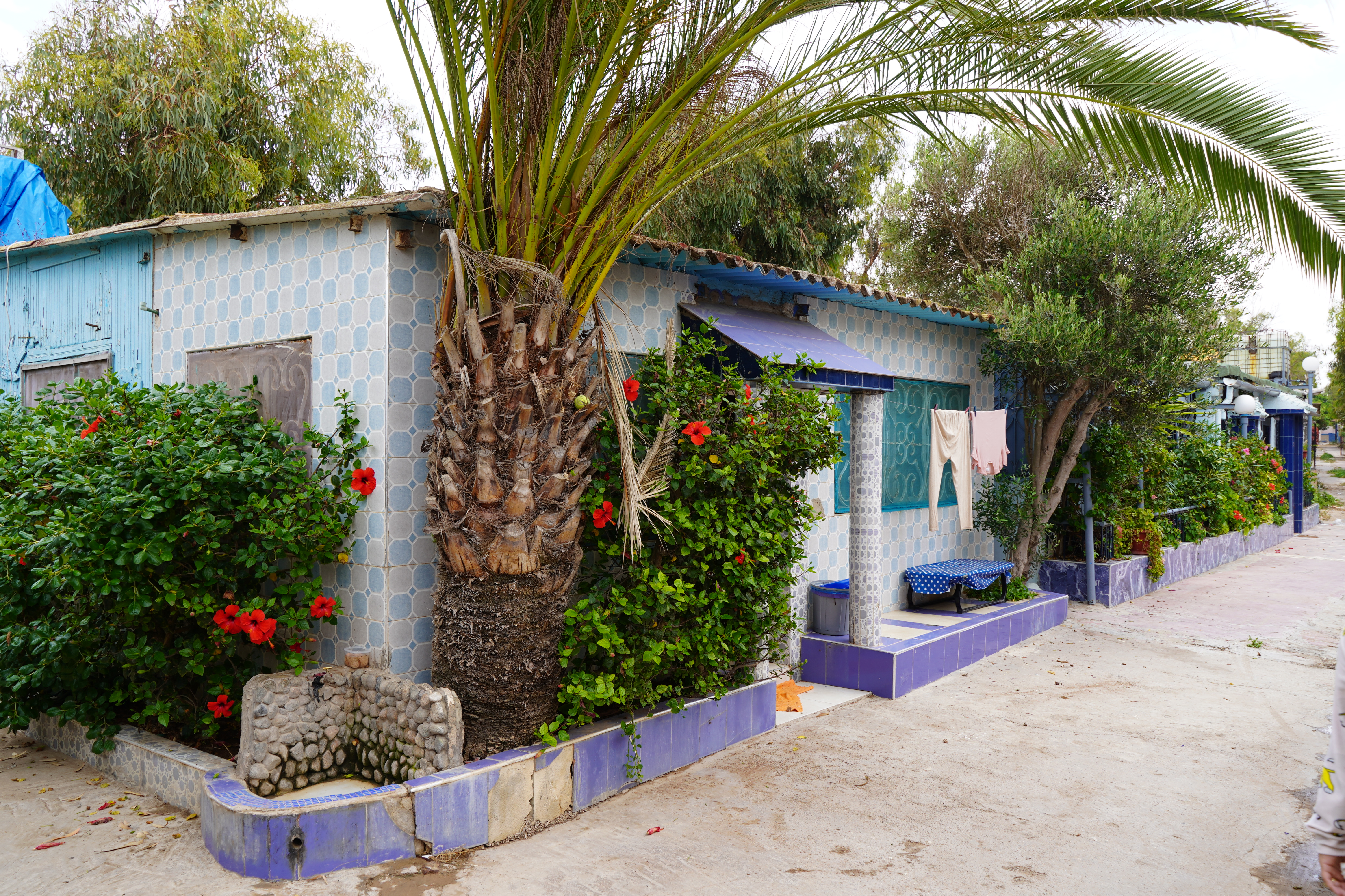 Société | Retrouvez toute l'actualité du Maroc et du monde, en temps réel, sur le premier site d'information francophone au Maroc : www.le360.ma