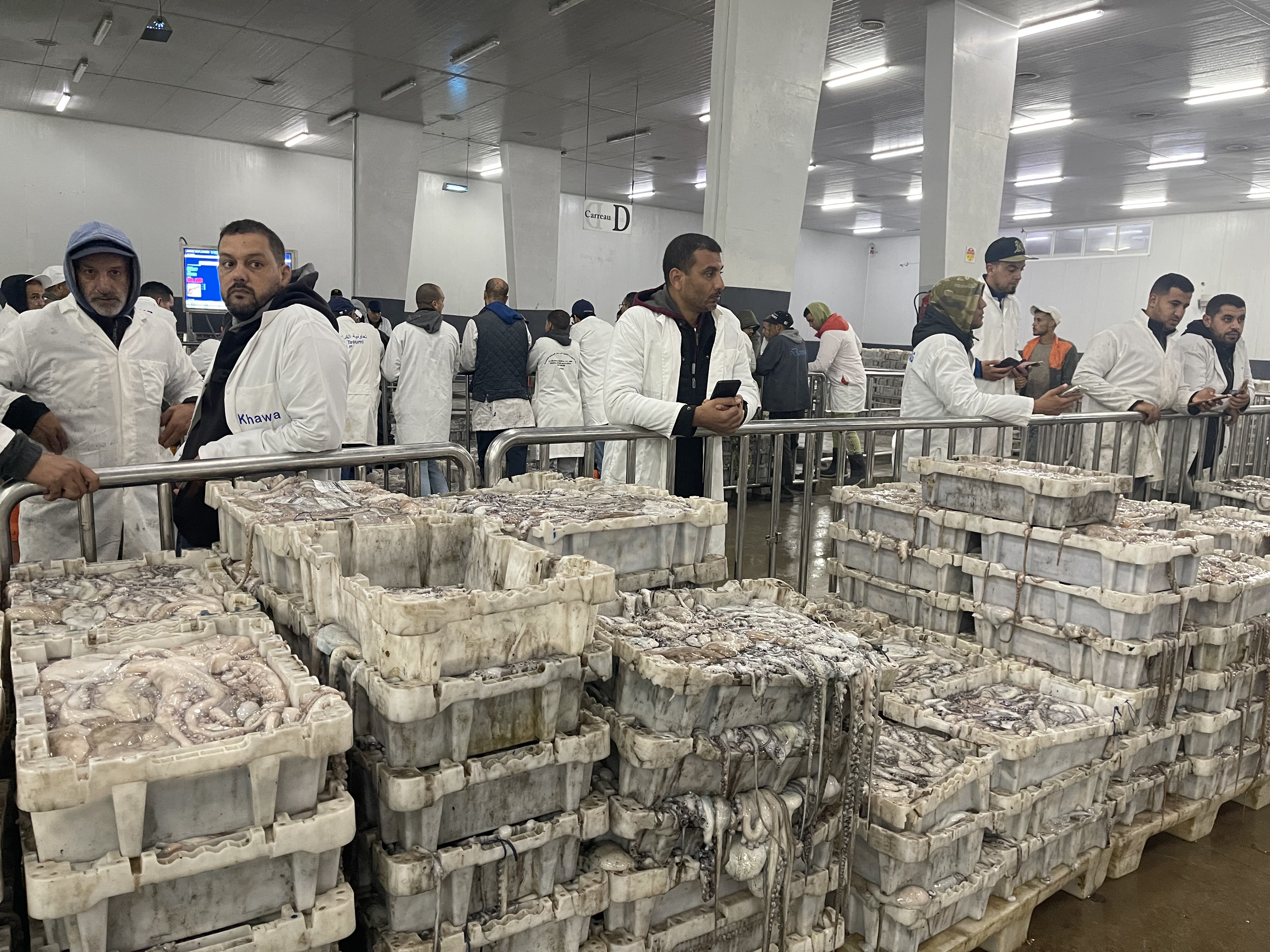 Economie | Retrouvez toute l'actualité du Maroc et du monde, en temps réel, sur le premier site d'information francophone au Maroc : www.le360.ma