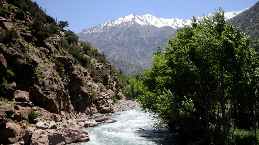 Société | Retrouvez toute l'actualité du Maroc et du monde, en temps réel, sur le premier site d'information francophone au Maroc : www.le360.ma