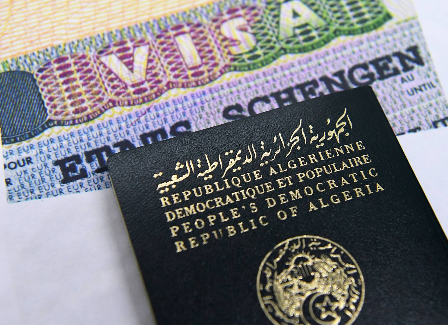 Monde | Retrouvez toute l'actualité du Maroc et du monde, en temps réel, sur le premier site d'information francophone au Maroc : www.le360.ma
