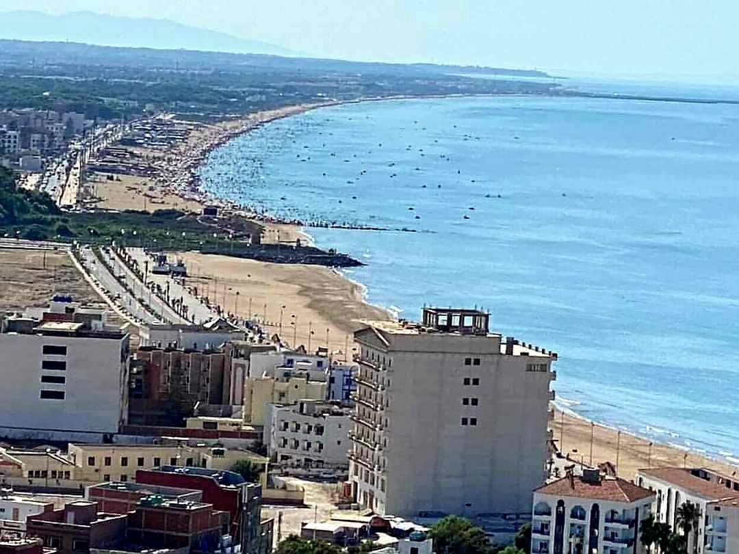 Ravages de la cochenille en Algérie : la presse accuse le Maroc – LPJM