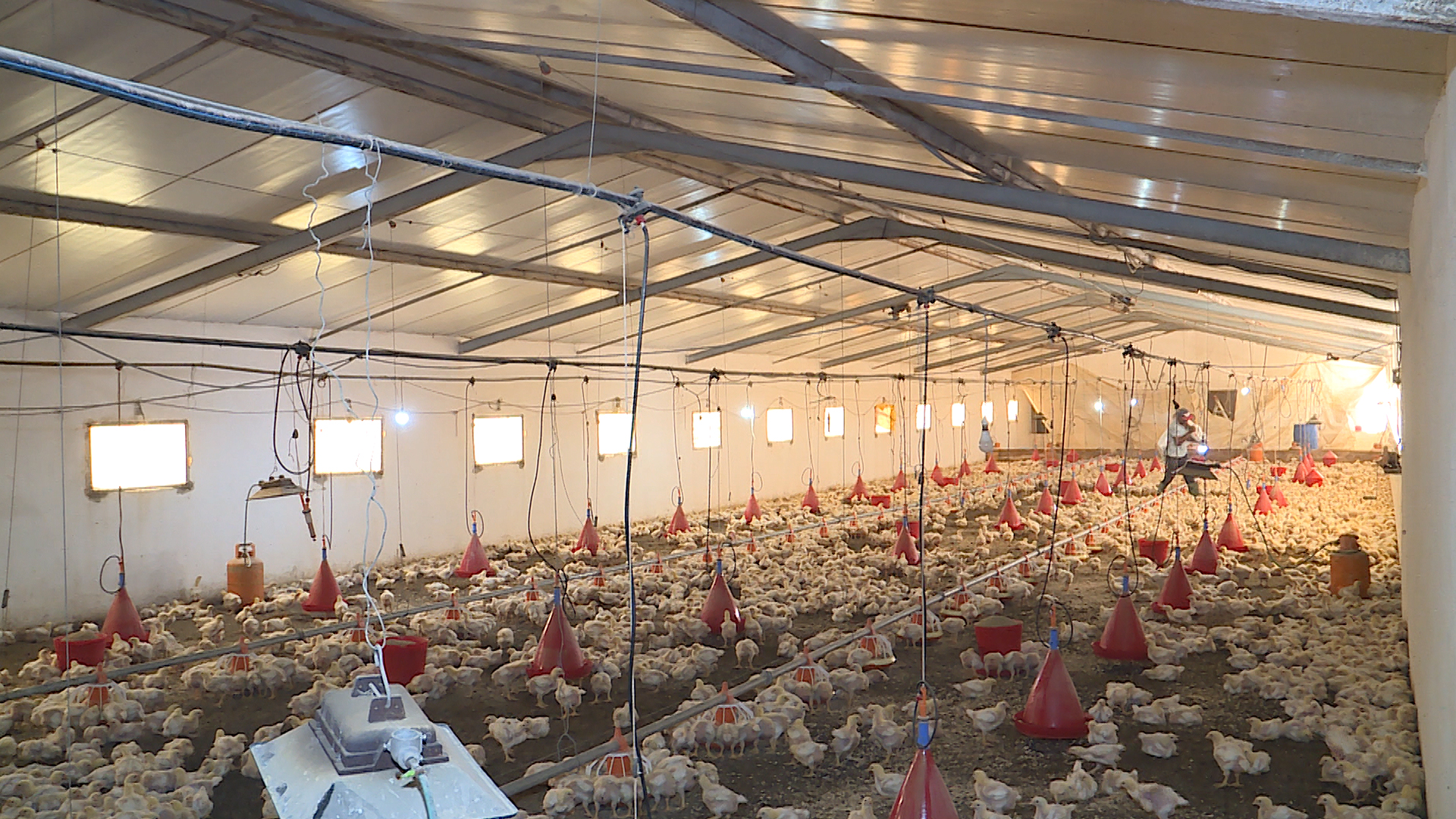 Société | Retrouvez toute l'actualité du Maroc et du monde, en temps réel, sur le premier site d'information francophone au Maroc : www.le360.ma