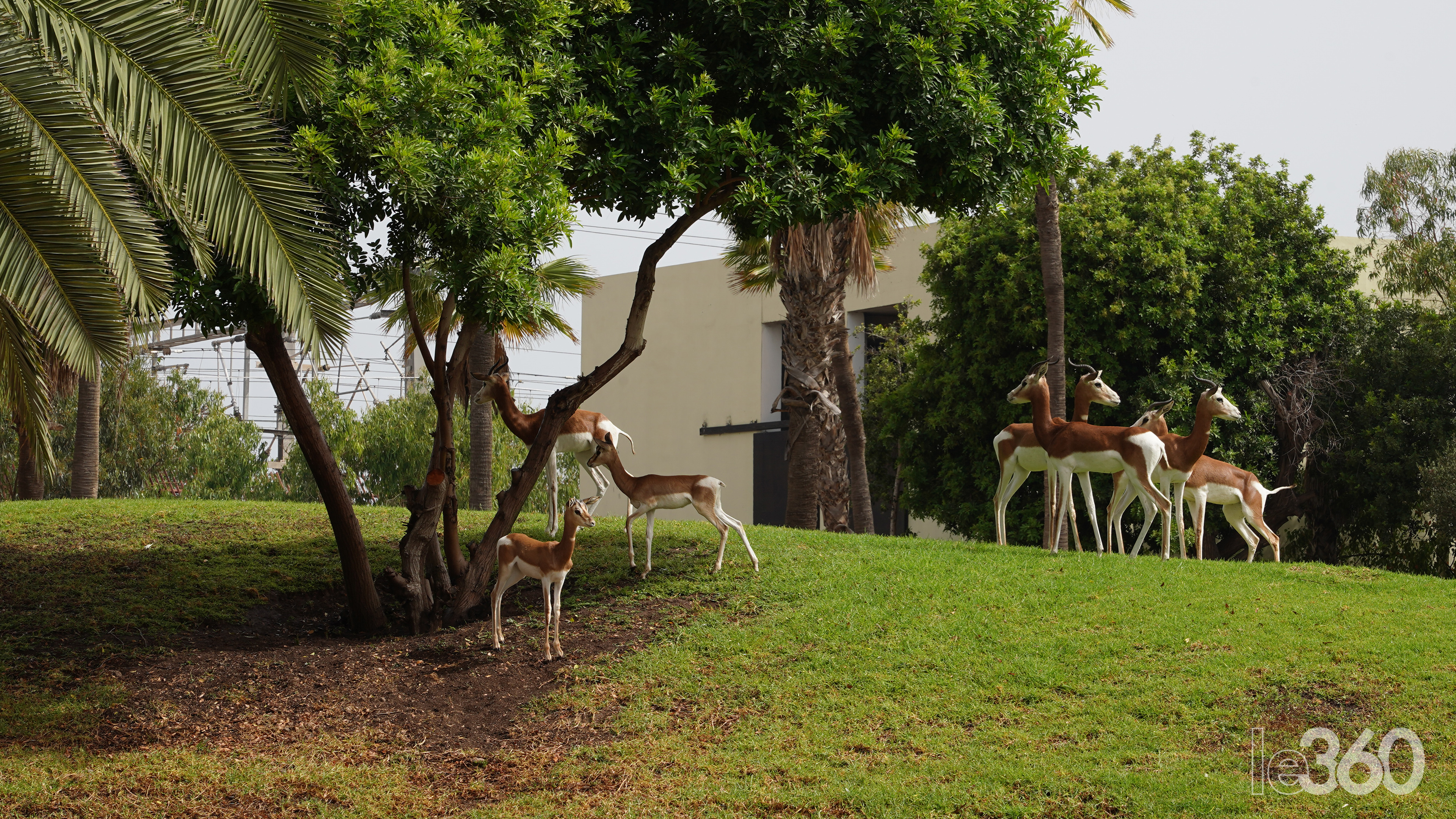 Société | Retrouvez toute l'actualité du Maroc et du monde, en temps réel, sur le premier site d'information francophone au Maroc : www.le360.ma