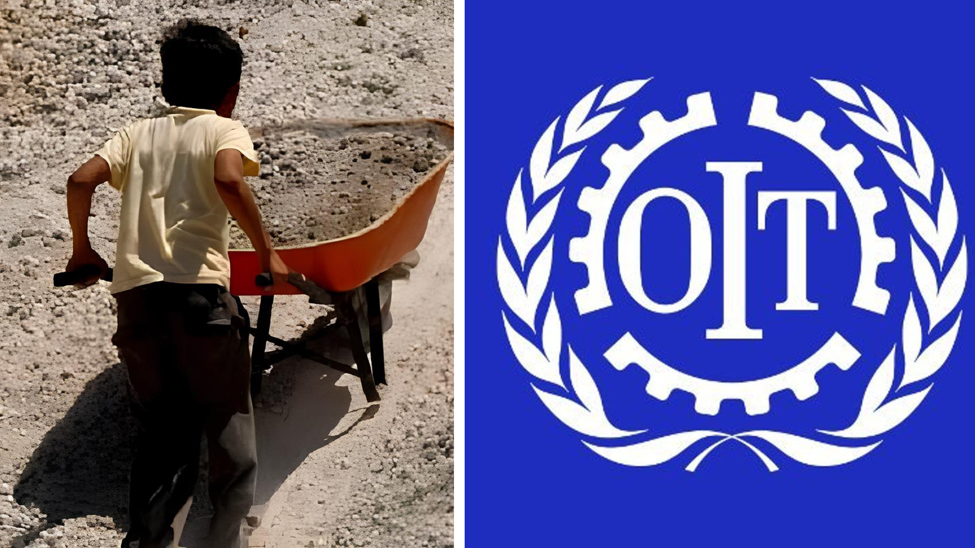 Société | Retrouvez toute l'actualité du Maroc et du monde, en temps réel, sur le premier site d'information francophone au Maroc : www.le360.ma