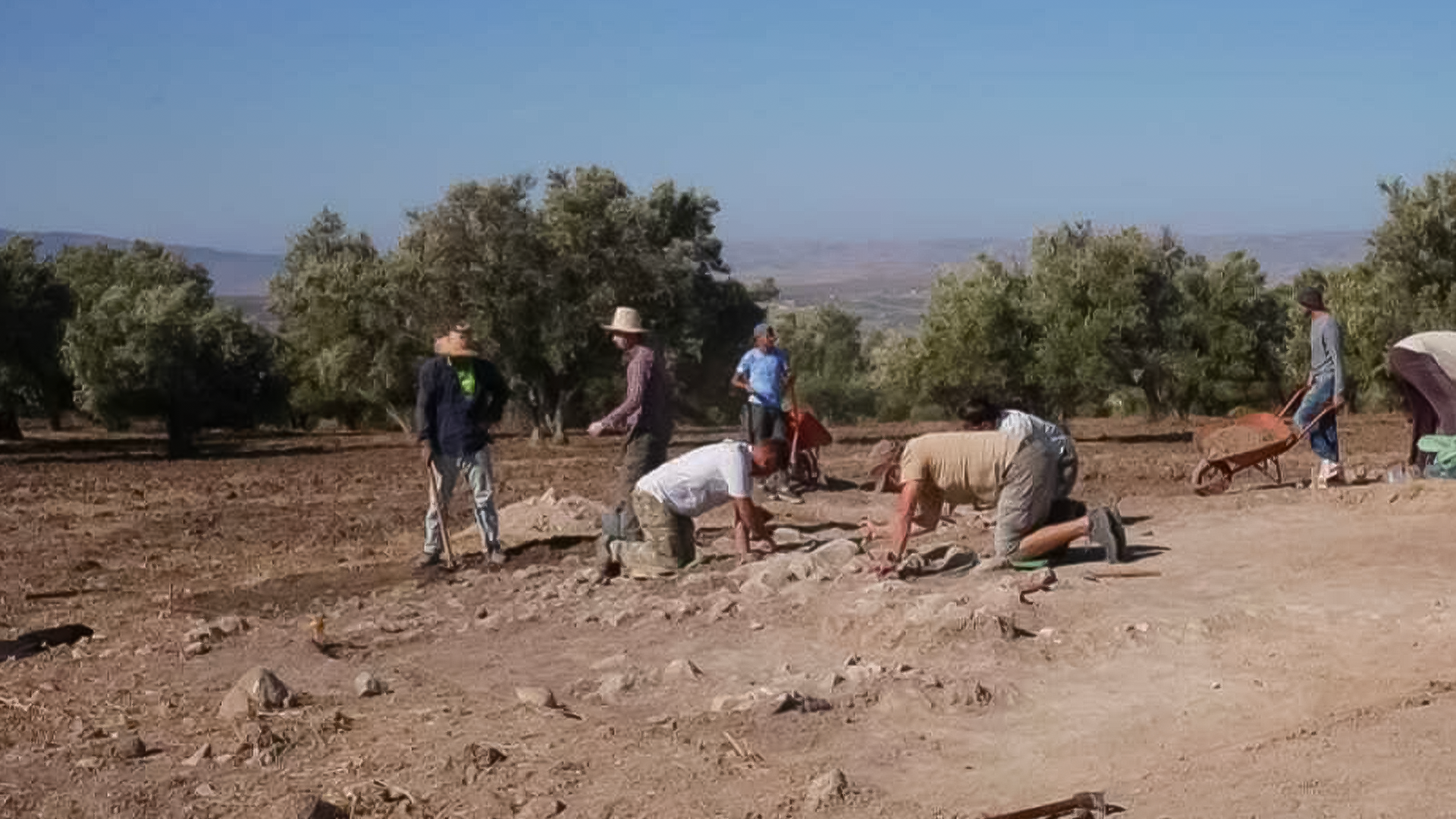 Culture | Retrouvez toute l'actualité du Maroc et du monde, en temps réel, sur le premier site d'information francophone au Maroc : www.le360.ma