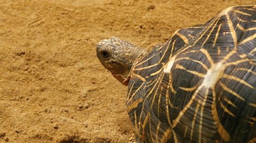 Monde | Retrouvez toute l'actualité du Maroc et du monde, en temps réel, sur le premier site d'information francophone au Maroc : www.le360.ma