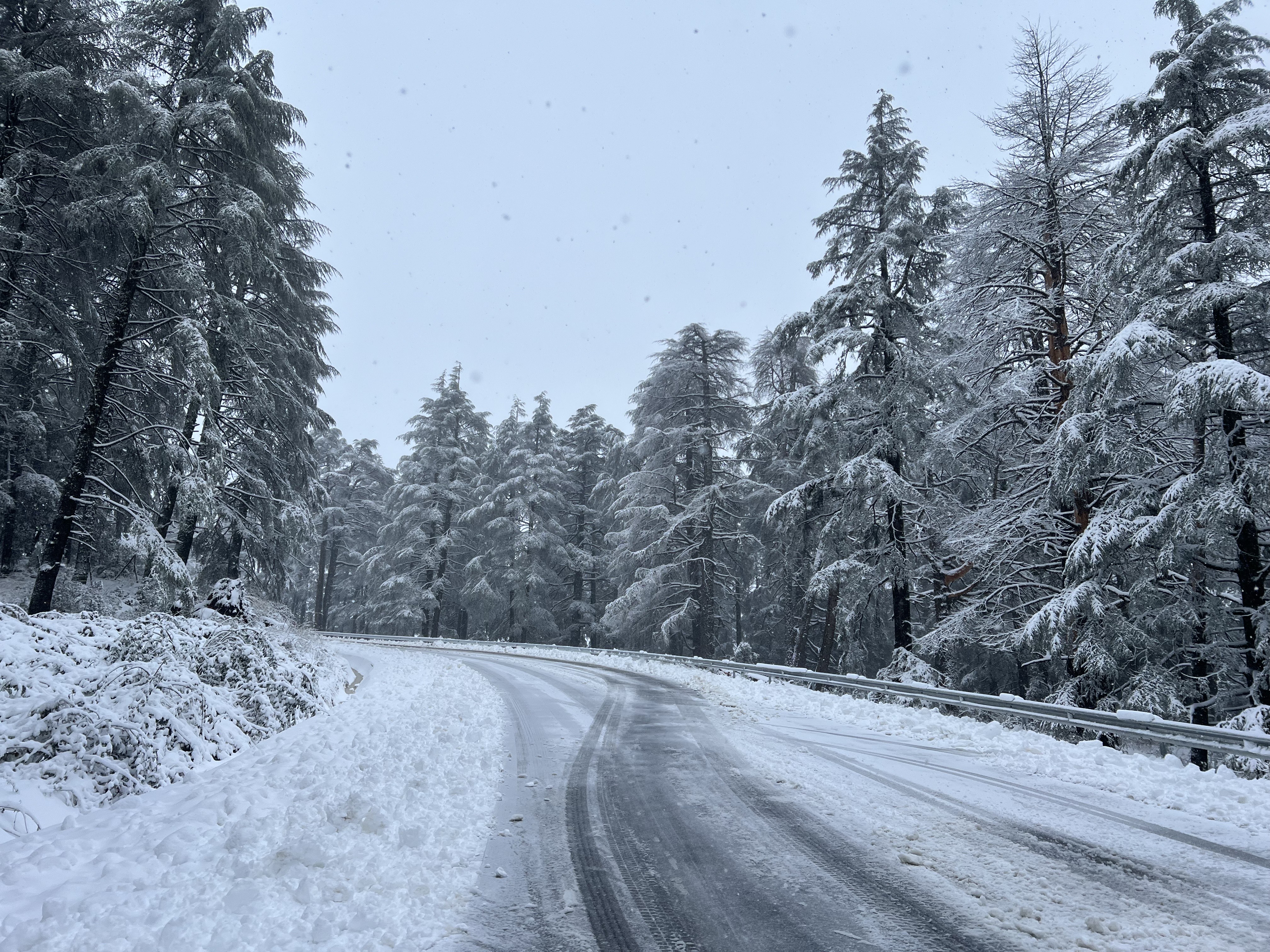 Société | Retrouvez toute l'actualité du Maroc et du monde, en temps réel, sur le premier site d'information francophone au Maroc : www.le360.ma