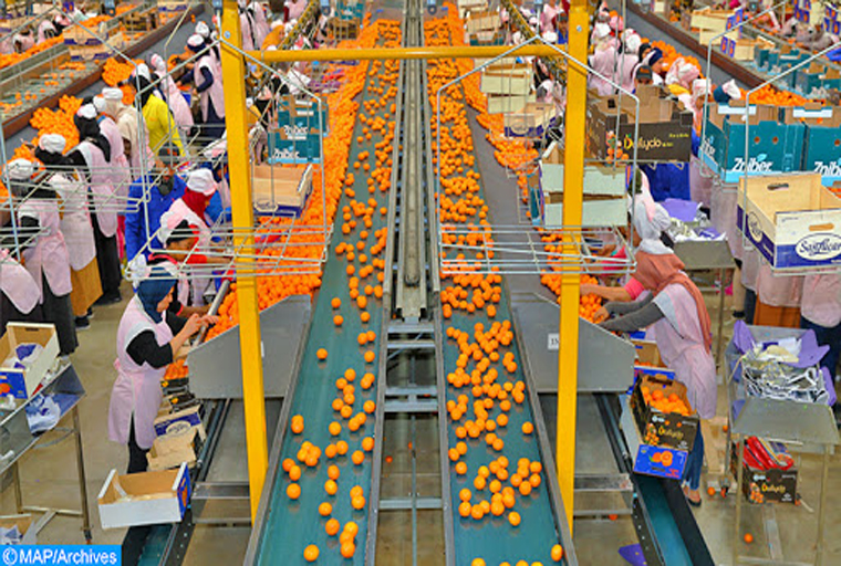 Economie | Retrouvez toute l'actualité du Maroc et du monde, en temps réel, sur le premier site d'information francophone au Maroc : www.le360.ma