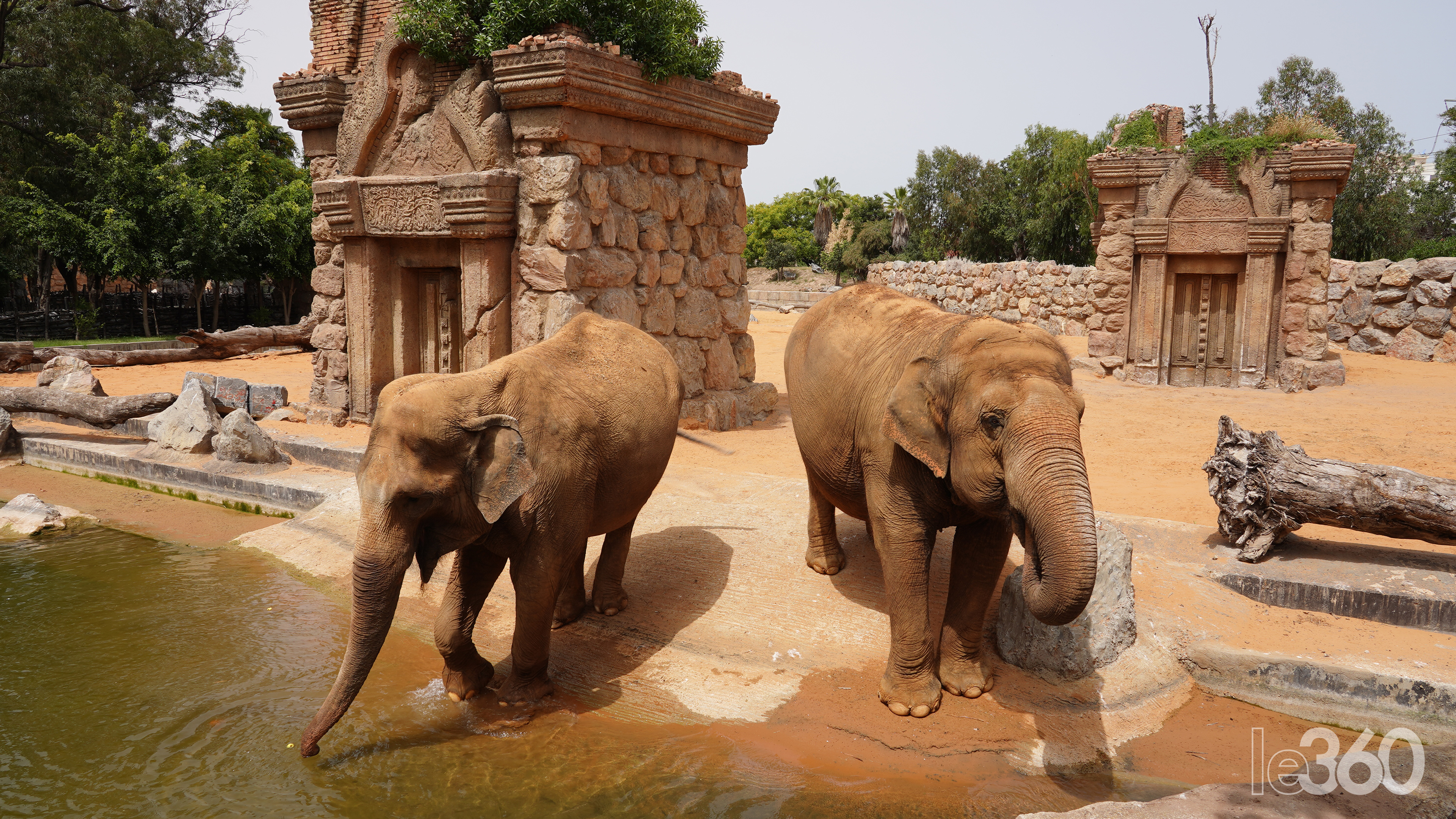 Société | Retrouvez toute l'actualité du Maroc et du monde, en temps réel, sur le premier site d'information francophone au Maroc : www.le360.ma