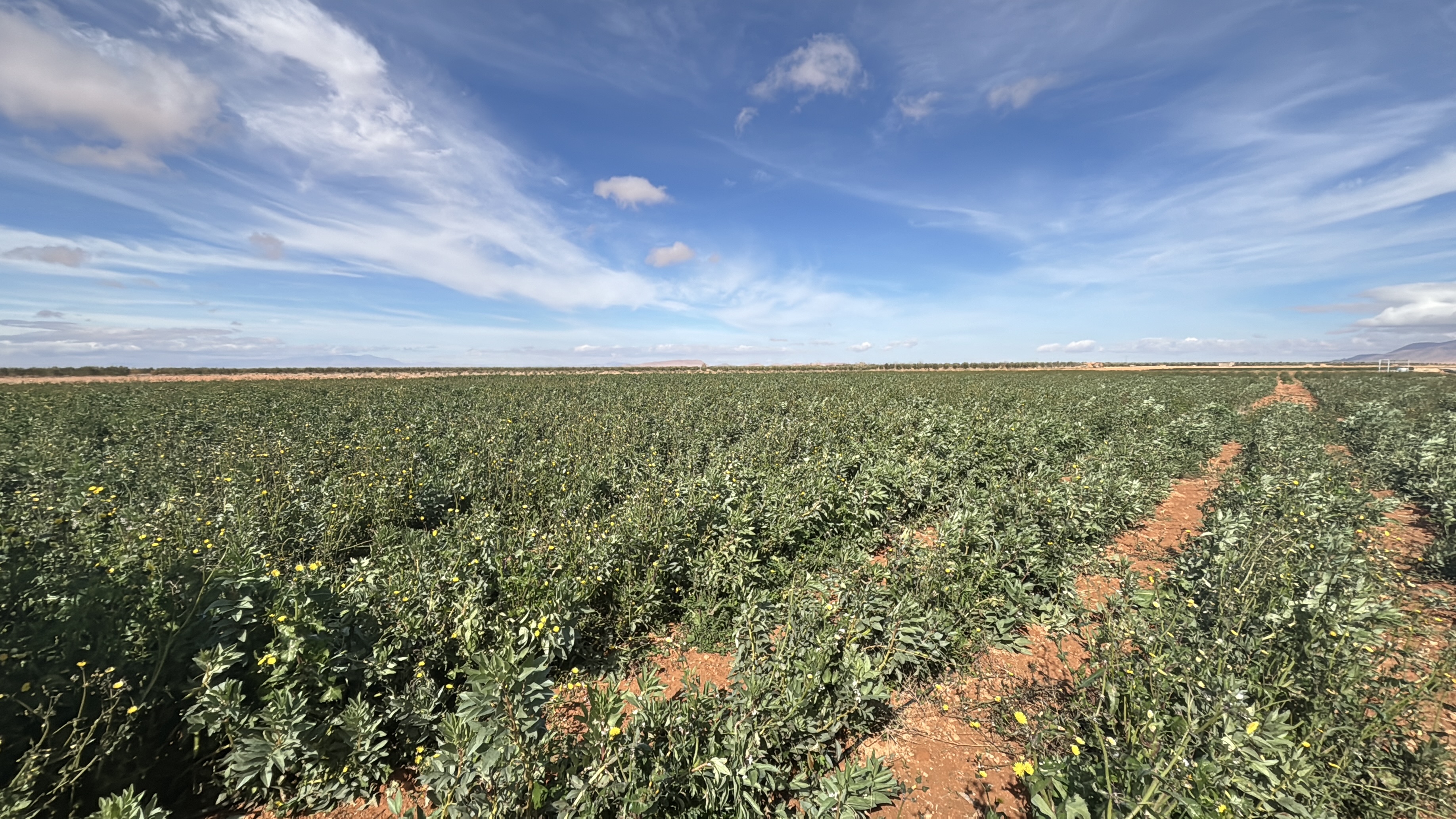 Economie | Retrouvez toute l'actualité du Maroc et du monde, en temps réel, sur le premier site d'information francophone au Maroc : www.le360.ma