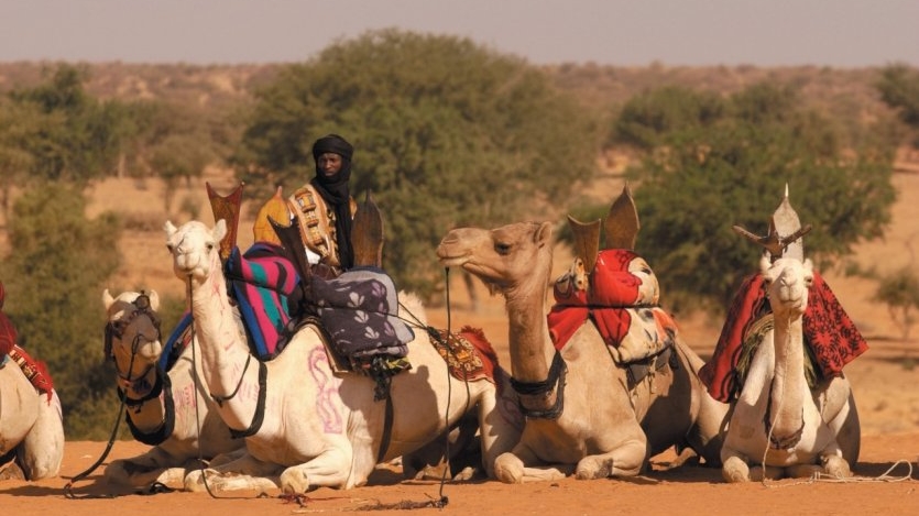 Monde | Retrouvez toute l'actualité du Maroc et du monde, en temps réel, sur le premier site d'information francophone au Maroc : www.le360.ma