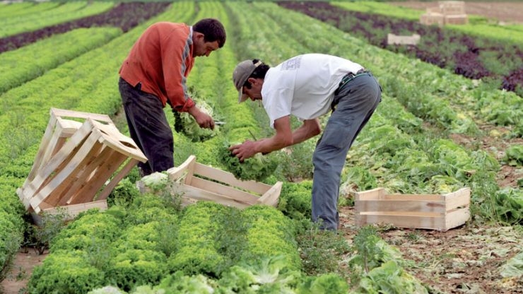 Economie | Retrouvez toute l'actualité du Maroc et du monde, en temps réel, sur le premier site d'information francophone au Maroc : www.le360.ma