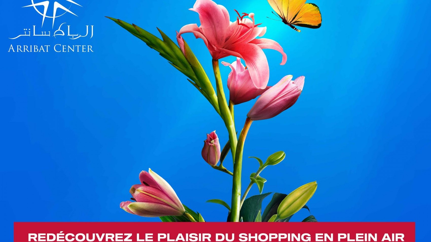 Economie | Retrouvez toute l'actualité du Maroc et du monde, en temps réel, sur le premier site d'information francophone au Maroc : www.le360.ma