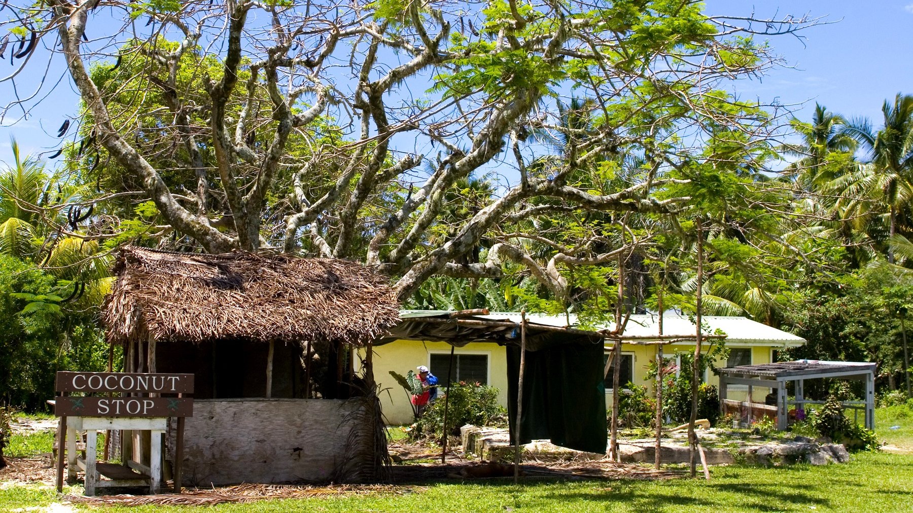 En plein océan Pacifique, Niue est connu pour être le seul pays au monde entièrement couvert par un réseau Wi-Fi libre et gratuit !

