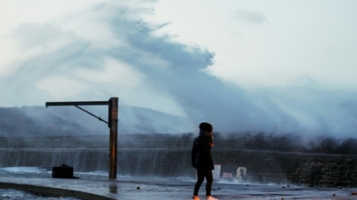 Monde | Retrouvez toute l'actualité du Maroc et du monde, en temps réel, sur le premier site d'information francophone au Maroc : www.le360.ma