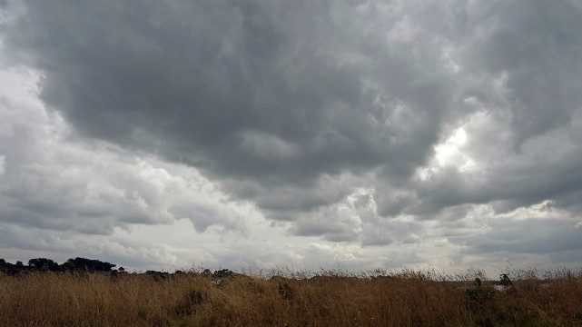 Société | Retrouvez toute l'actualité du Maroc et du monde, en temps réel, sur le premier site d'information francophone au Maroc : www.le360.ma