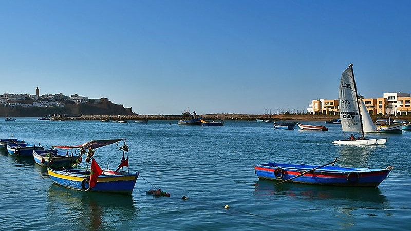 Société | Retrouvez toute l'actualité du Maroc et du monde, en temps réel, sur le premier site d'information francophone au Maroc : www.le360.ma