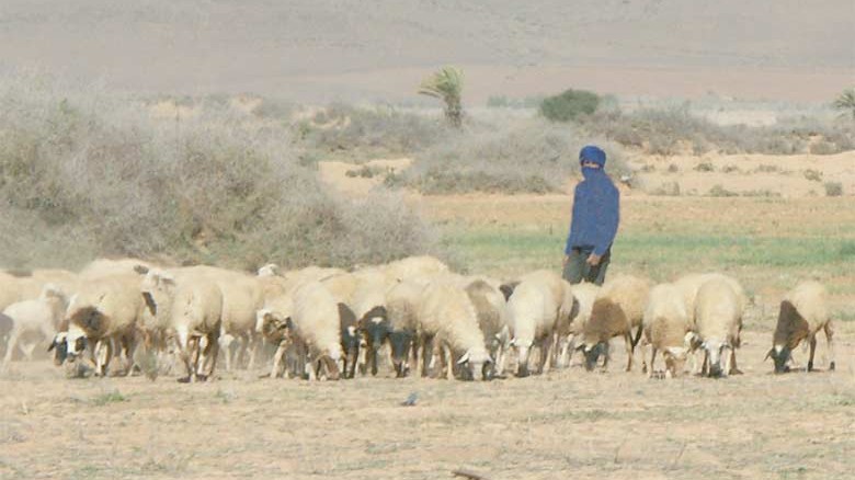 Société | Retrouvez toute l'actualité du Maroc et du monde, en temps réel, sur le premier site d'information francophone au Maroc : www.le360.ma