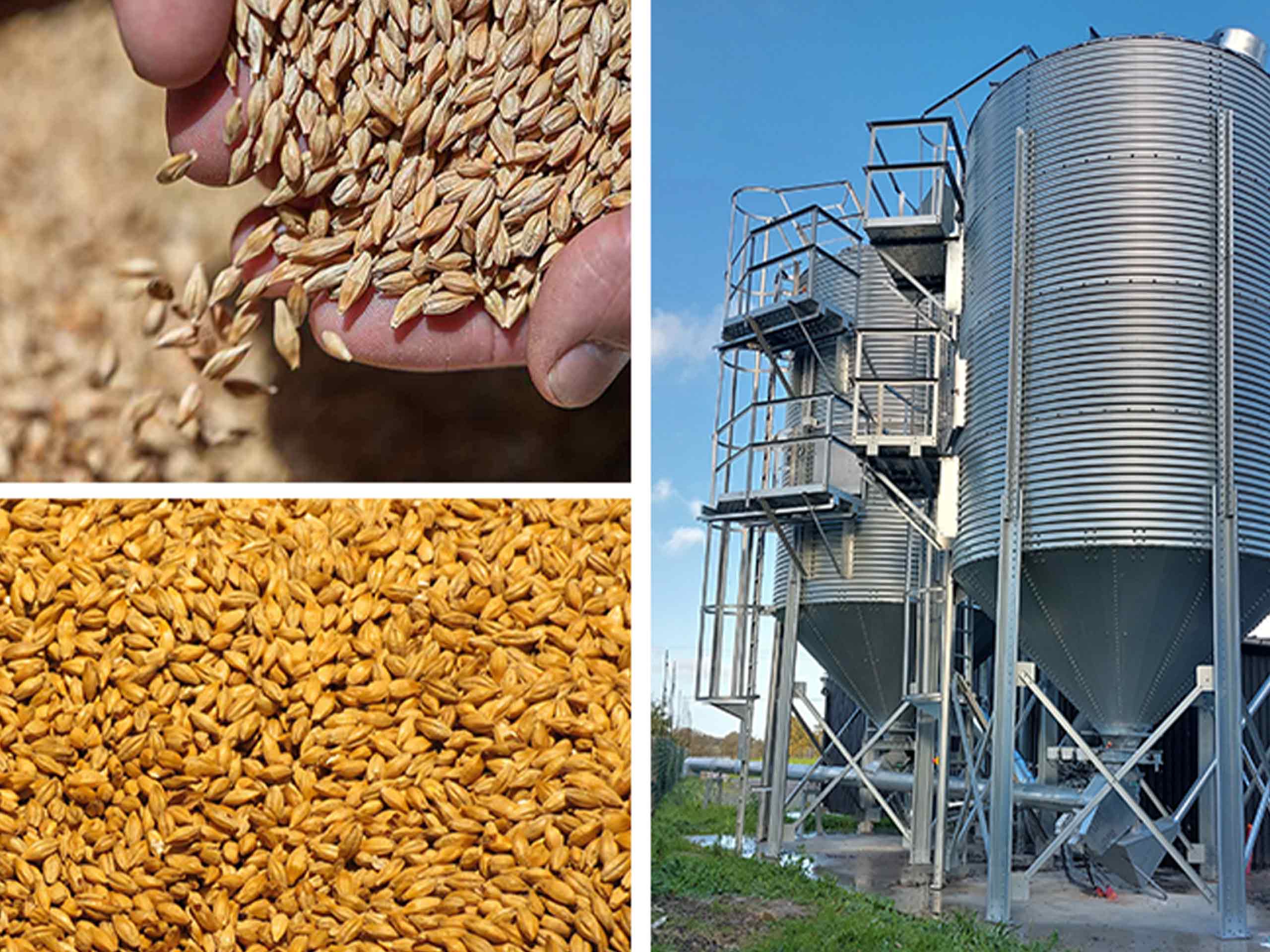 Economie | Retrouvez toute l'actualité du Maroc et du monde, en temps réel, sur le premier site d'information francophone au Maroc : www.le360.ma