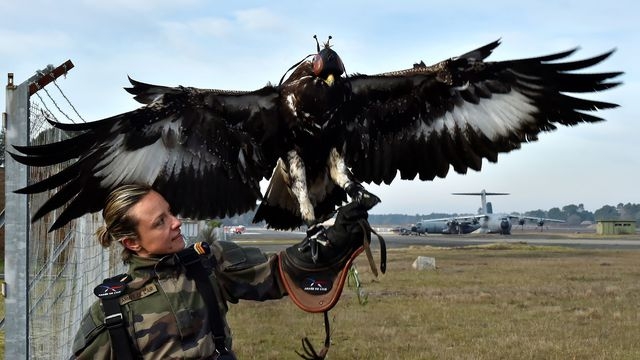 Monde | Retrouvez toute l'actualité du Maroc et du monde, en temps réel, sur le premier site d'information francophone au Maroc : www.le360.ma