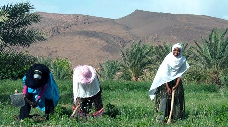 Société | Retrouvez toute l'actualité du Maroc et du monde, en temps réel, sur le premier site d'information francophone au Maroc : www.le360.ma