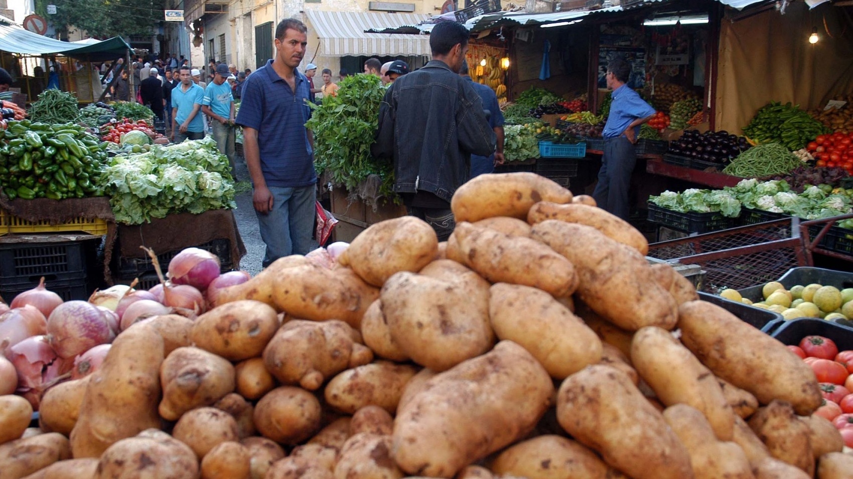 Monde | Retrouvez toute l'actualité du Maroc et du monde, en temps réel, sur le premier site d'information francophone au Maroc : www.le360.ma