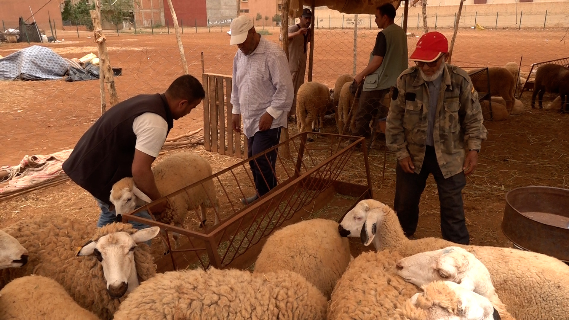 Société | Retrouvez toute l'actualité du Maroc et du monde, en temps réel, sur le premier site d'information francophone au Maroc : www.le360.ma