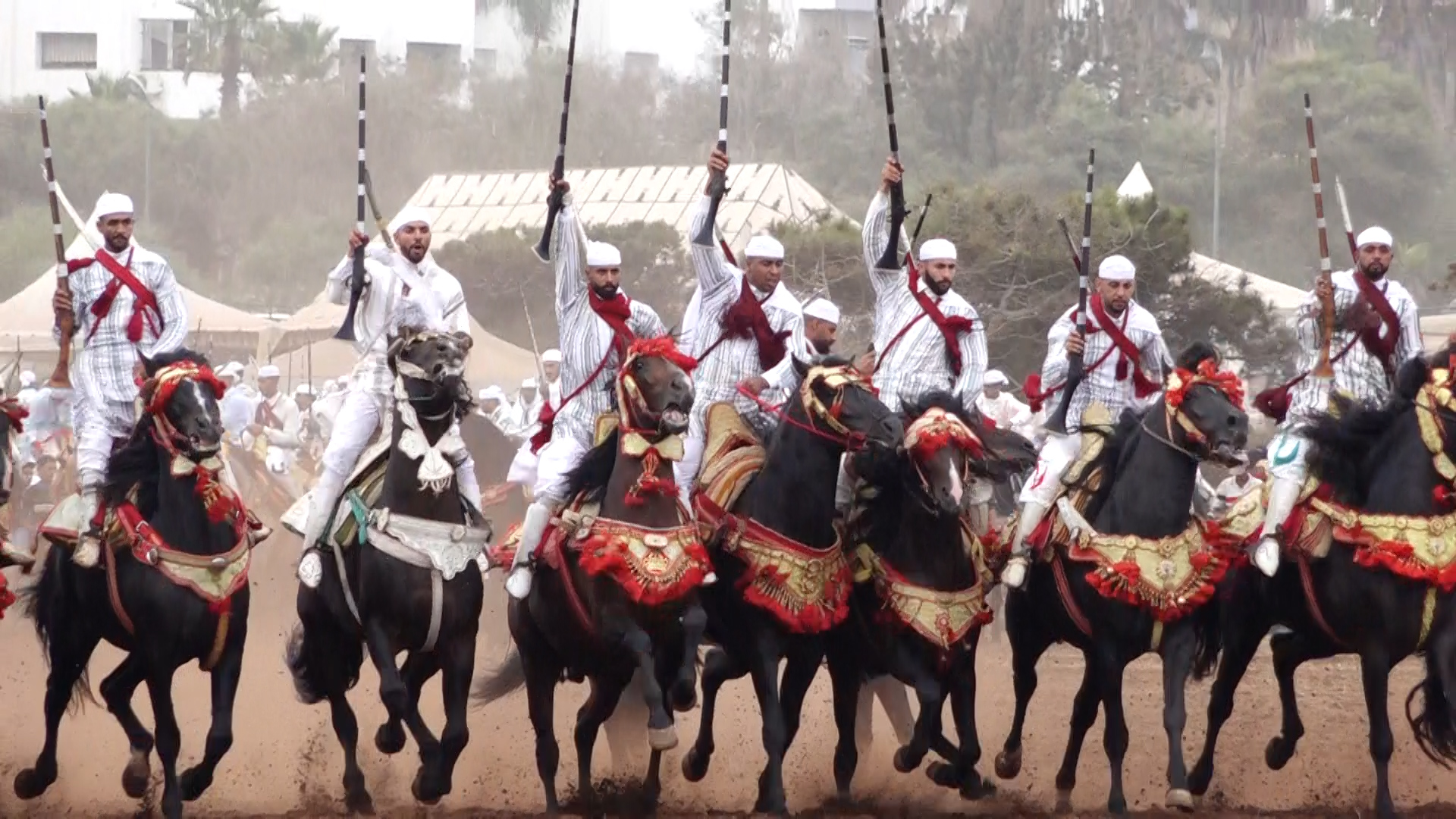 Société | Retrouvez toute l'actualité du Maroc et du monde, en temps réel, sur le premier site d'information francophone au Maroc : www.le360.ma