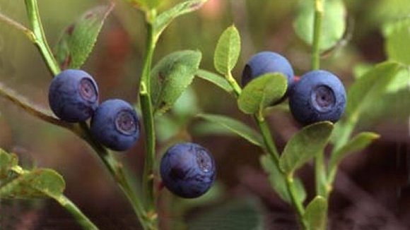 Economie | Retrouvez toute l'actualité du Maroc et du monde, en temps réel, sur le premier site d'information francophone au Maroc : www.le360.ma