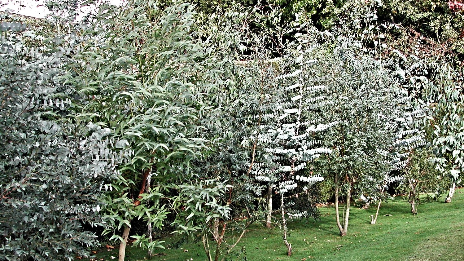 Société | Retrouvez toute l'actualité du Maroc et du monde, en temps réel, sur le premier site d'information francophone au Maroc : www.le360.ma