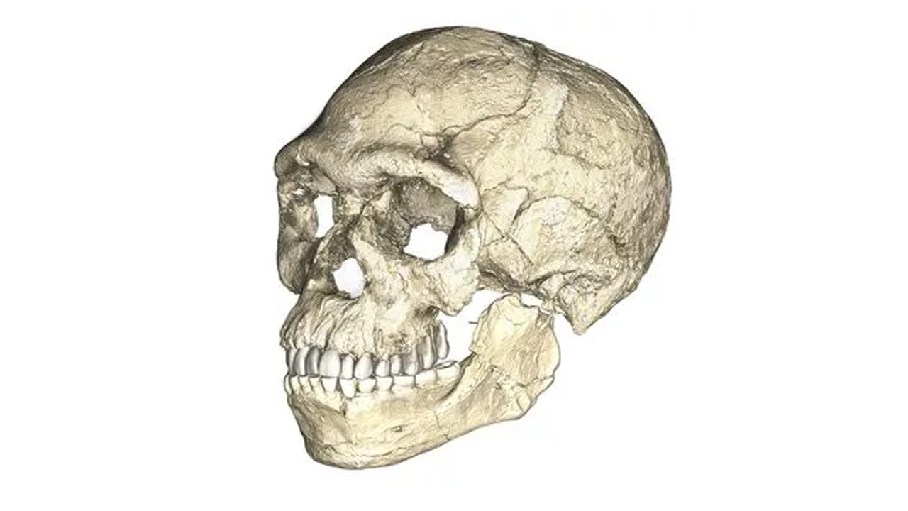 LF3PS3WIBVFXLBX5FCE2L2J5OM - أسفي كود | safigoud.com