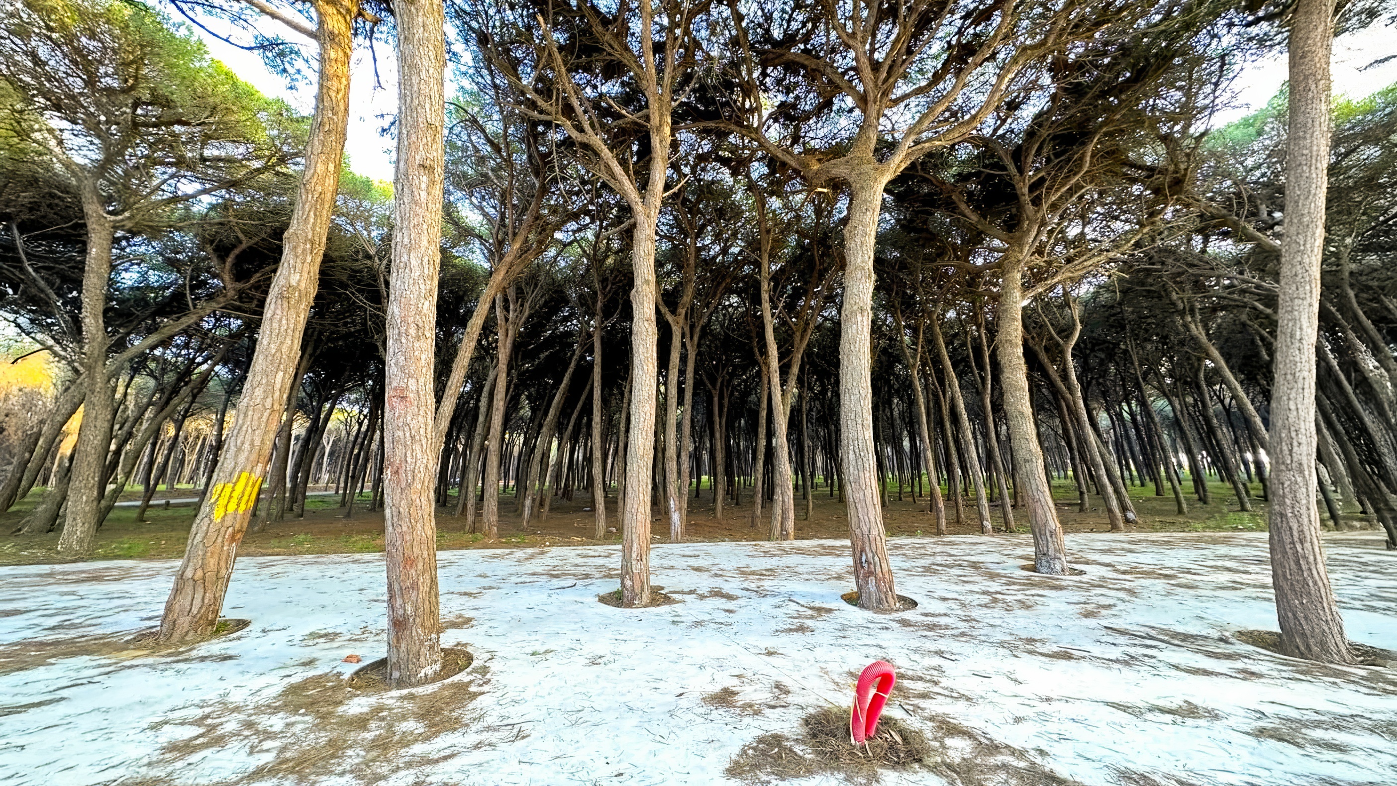 Société | Retrouvez toute l'actualité du Maroc et du monde, en temps réel, sur le premier site d'information francophone au Maroc : www.le360.ma