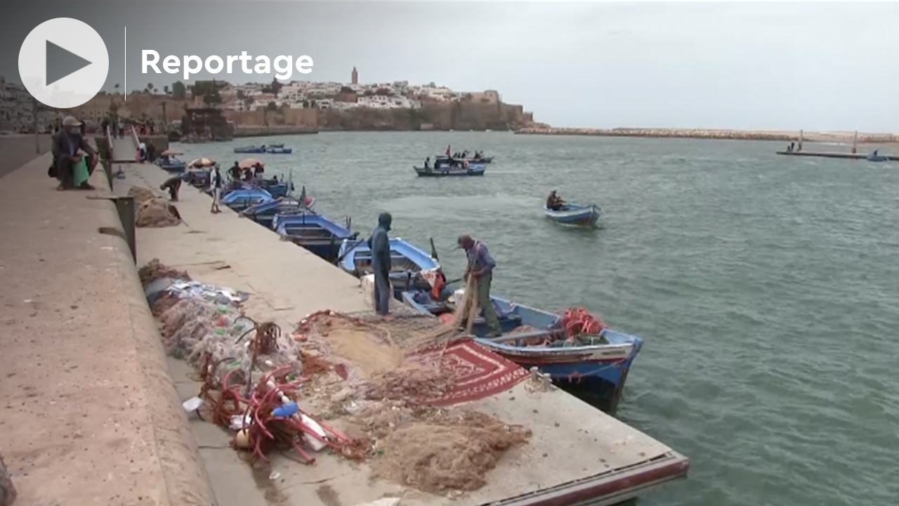 Société | Retrouvez toute l'actualité du Maroc et du monde, en temps réel, sur le premier site d'information francophone au Maroc : www.le360.ma