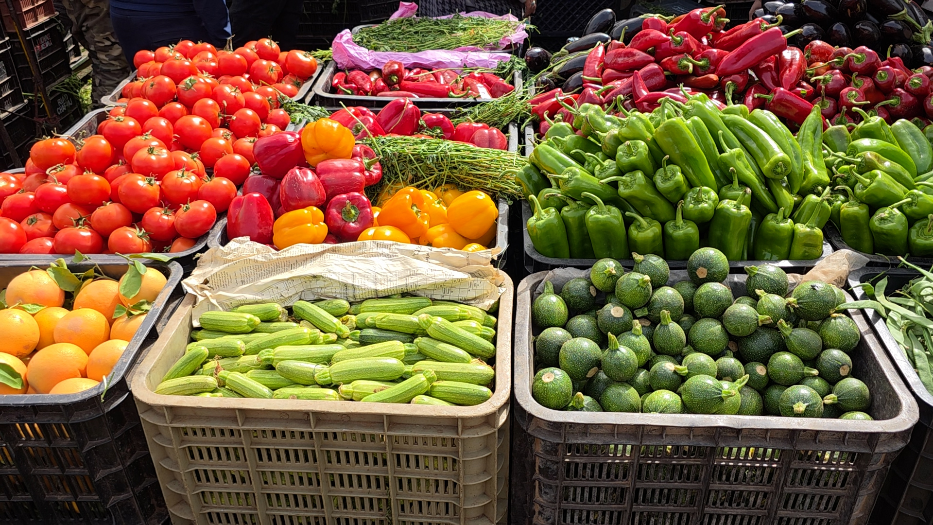 Société | Retrouvez toute l'actualité du Maroc et du monde, en temps réel, sur le premier site d'information francophone au Maroc : www.le360.ma